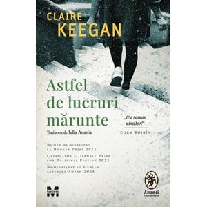 Astfel de lucruri marunte - Claire Keegan
