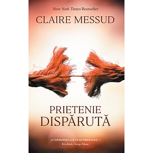 Prietenie disparuta - Claire Messud