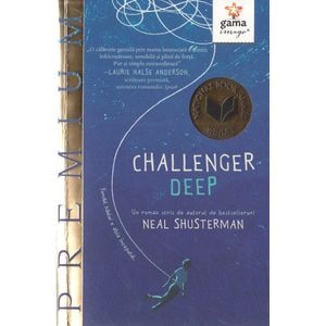 Challenger Deep - Neal Schusterman