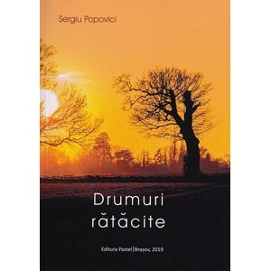 Drumuri ratacite - Sergiu Popovici