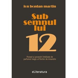 Sub semnul lui 12 - Ion Bogdan Martin
