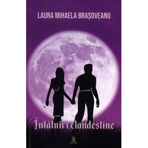 Intalniri clandestine - Laura Mihaela Brasoveanu