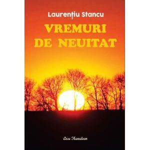 Vremuri de neuitat - Laurentiu Stancu