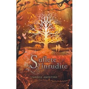 Suflete inrudite. Umbrele amintirii - Nica Stevens