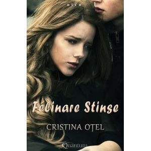 Felinare stinse - Cristina Otel