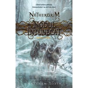 Nodul intunecat. Seria Nethergrim. Vol.3 - Matthew Jobin