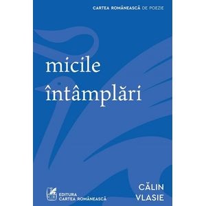 Micile intamplari - Calin Vlasie