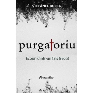 Purgatoriu. Ecouri dintr-un fals trecut - Stefanel Bulea