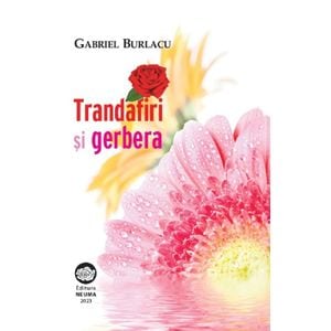 Trandafiri si Gerbera - Gabriel Burlacu