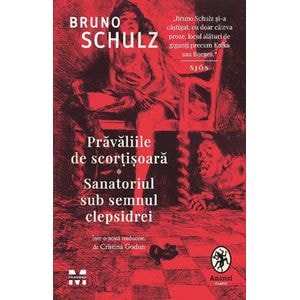Pravaliile de scortisoara. Sanatoriul sub semnul clepsidrei - Bruno Schulz