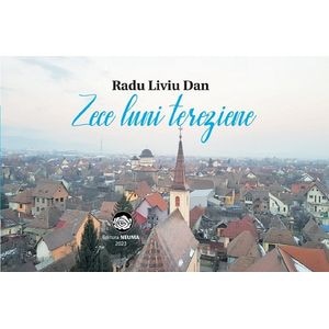 Zece luni tereziene - Radu Liviu Dan