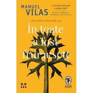 In toate a fost frumusete - Manuel Vilas