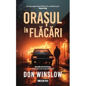 Orasul in flacari. Seria Danny Ryan Vol.1 - Don Winslow