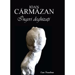 Ingeri deghizati - Ioan Carmazan