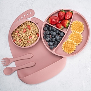 Set Diversificare AppeKids - Classic - Old Rose