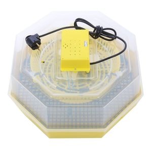 Incubator electric oua (clocitoare) Cleo 5, 230 V, 60 oua capacitate, 38C temperatura incubare