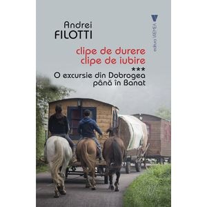 Clipe de durere, clipe de iubire Vol.3: O excursie din Dobrogea pana in Banat - Andrei Filotti