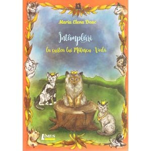Intamplari la curtea lui Matascu-Voda - Maria Elena Deac
