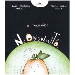 O intalnire neobisnuita - Dana Cristiana Maier, Flavia Maria Chiper