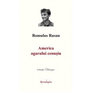 America ogarului cenusiu - Romulus Rusan