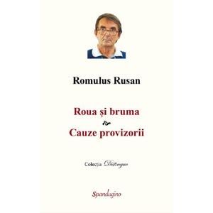 Roua si bruma. Cauze provizorii - Romulus Rusan