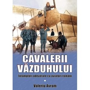 Cavalerii vazduhului - Valeriu Avram