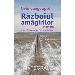 Razboiul amagirilor - Liviu Cangeopol