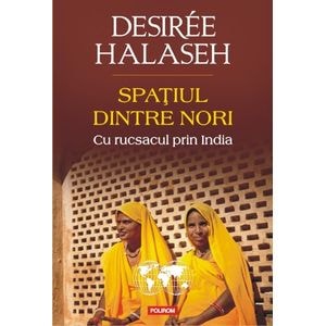 Spatiul dintre nori. Cu rucsacul prin India - Desiree Halaseh
