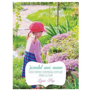 Jurnalul unei mame - Ligia Pop
