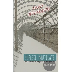 Suflete mutilate. Prizonier in lagarele bolsevice 1942-1945 - Ioan Armeanu