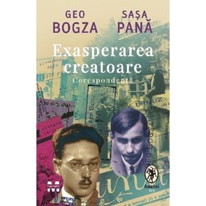 Exasperarea creatoare. Corespondenta - Geo Bogza, Sasa Pana