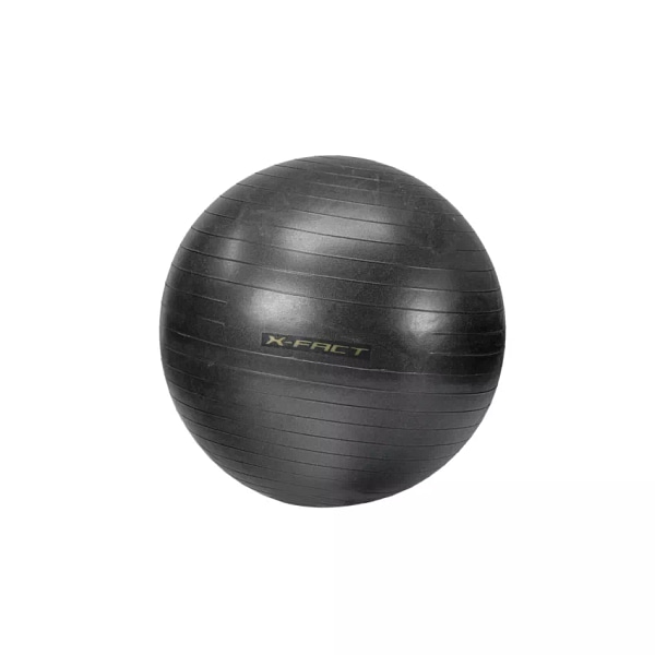 Minge swiss ball outlet