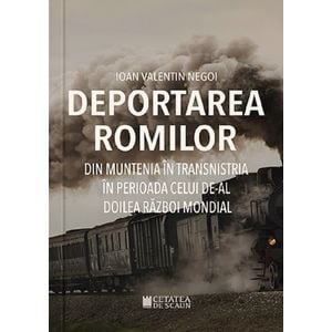 Deportarea romilor din Muntenia in Transnistria - Ioan Valentin Negoi