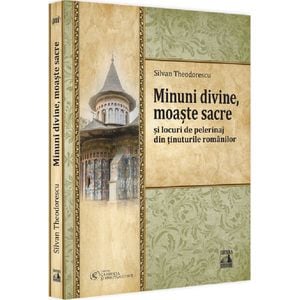 Minuni divine, moaste sacre si locuri de pelerinaj din tinuturile romanilor - Silvan Theodorescu