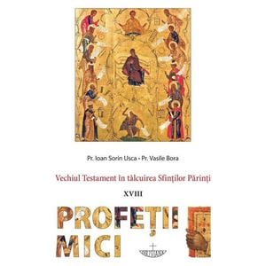Vechiul Testament in talcuirea Sfintilor Parinti: Profetii mici - Ioan Sorin Usca, Vasile Bora