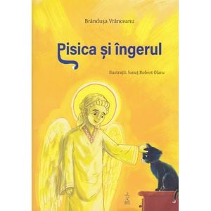 Pisica si ingerul - Brandusa Vranceanu