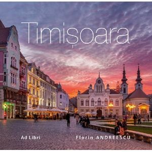 Timisoara - Florin Andreescu