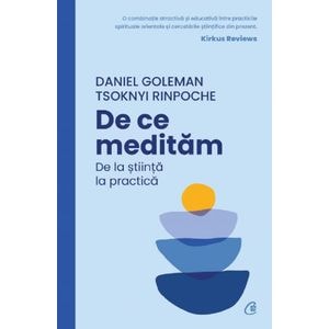 De ce meditam. De la stiinta la practica - Daniel Goleman, Tsoknyi Rinpoche