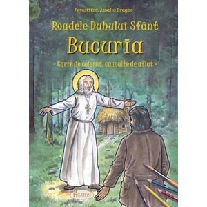 Roadele Duhului Sfant Vol.9: Bucuria - Amalia Dragne