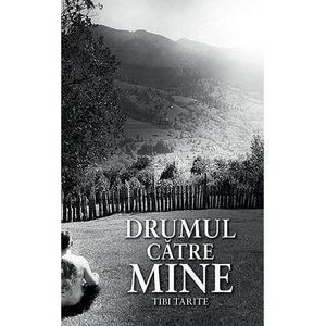 Drumul catre mine - Tibi Tarite