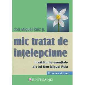 Mic tratat de intelepciune - Don Miguel Ruiz Jr.