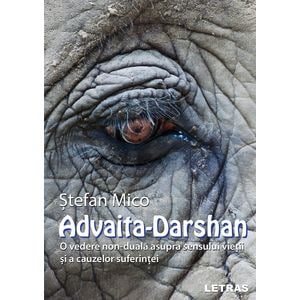 Advaita-Darshan. O vedere non-duala asupra sensului vietii - Stefan Mico