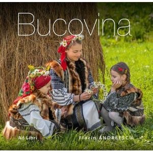 Bucovina - Florin Andreescu