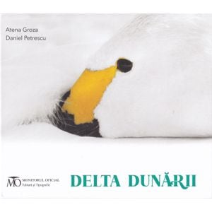 Delta Dunarii - Atena Groza, Daniel Petrescu