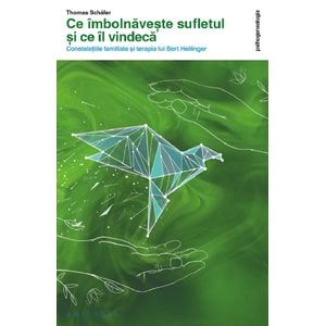 Ce imbolnaveste sufletul si ce il vindeca - Thomas Schafer