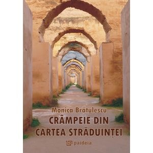 Crampeie din cartea straduintei - Monica Bratulescu
