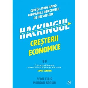 Hackingul cresterii economice - Sean Ellis, Morgan Brown