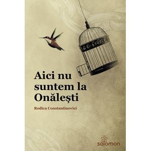 Aici nu suntem la Onalesti - Rodica Constantinovici