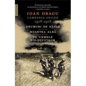 Campania anilor 1916-1918 - Ioan Dragu
