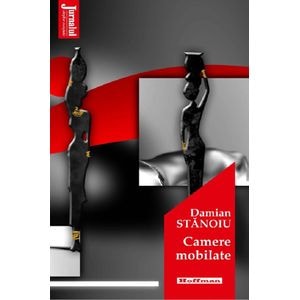 Camere mobilate - Damian Stanoiu